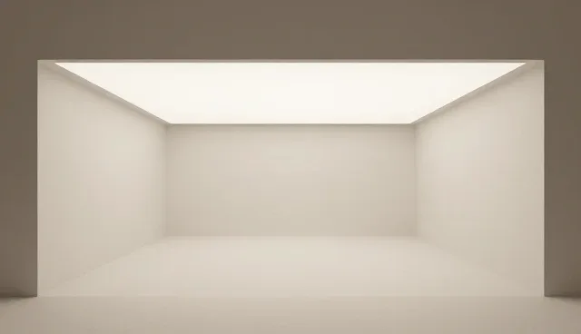 商务考察:适用条件与使用建议分析